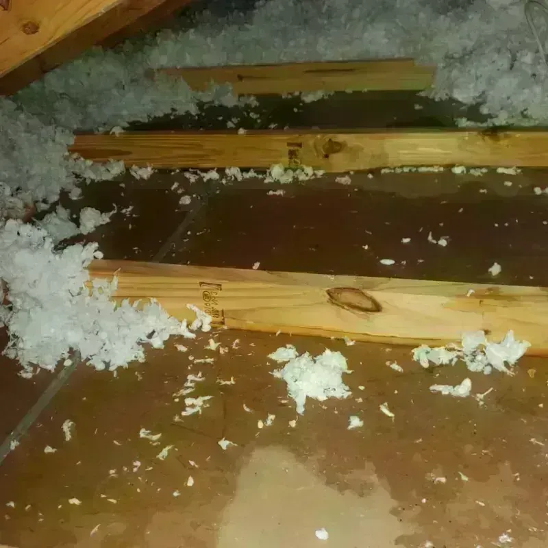 Attic Water Damage in Marion, VA