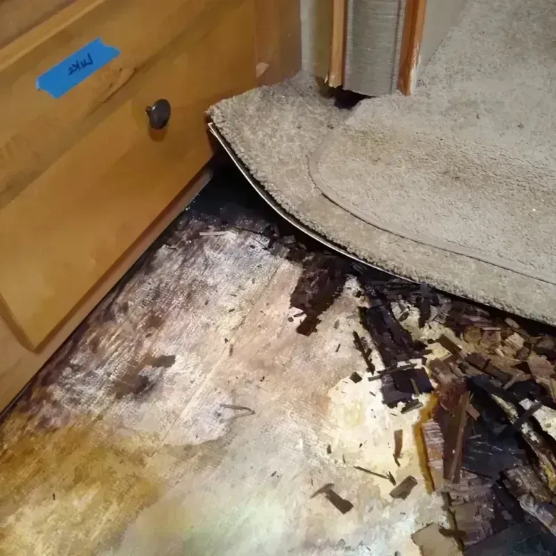 Wood Floor Water Damage in Marion, VA